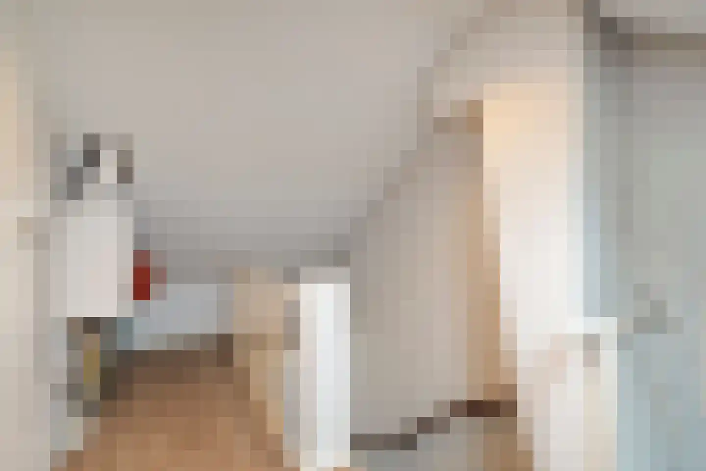 van Rennesstraat 8 Schagen thumbnail 35