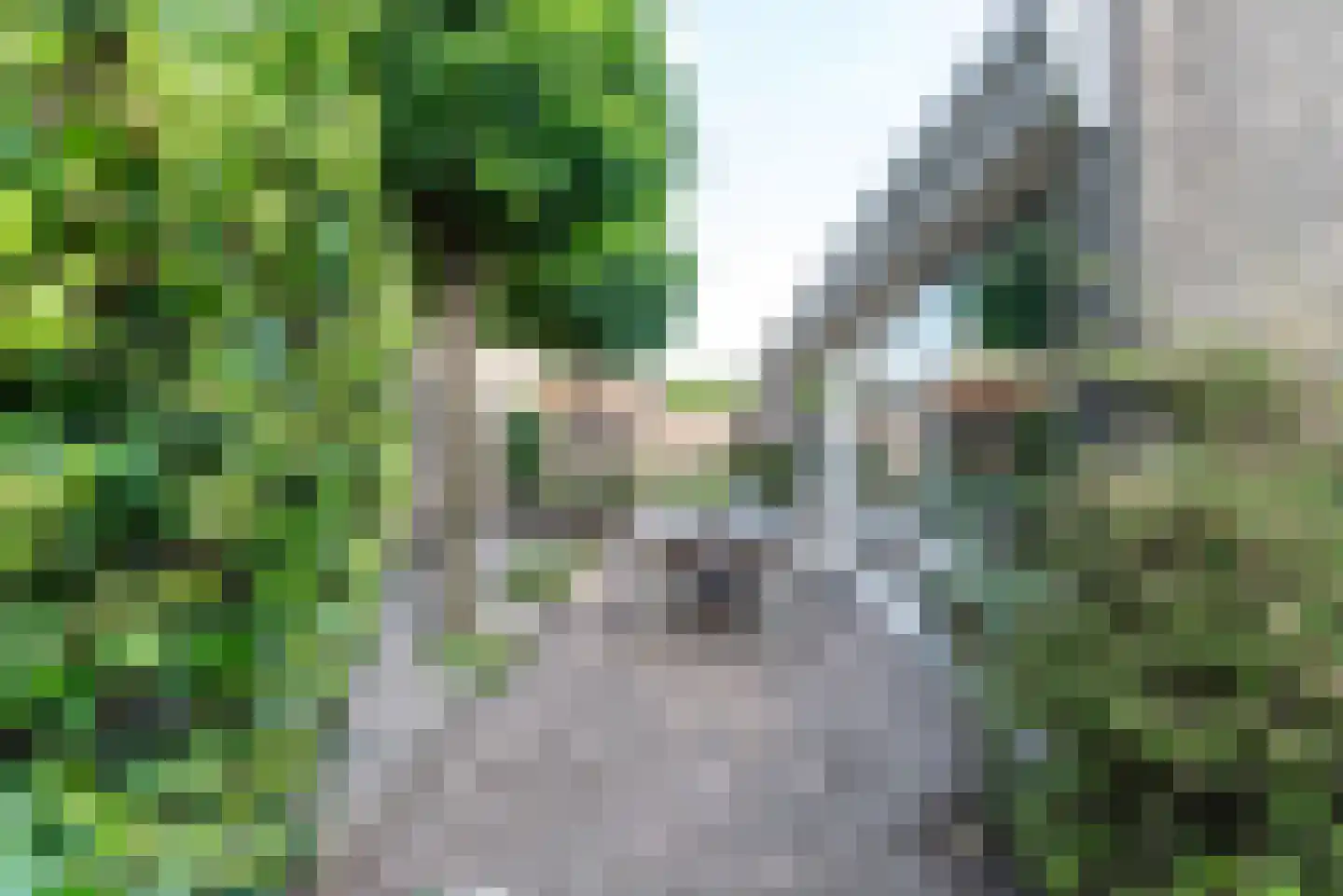 Van Rensselaerstraat 101 Nijkerk thumbnail 39