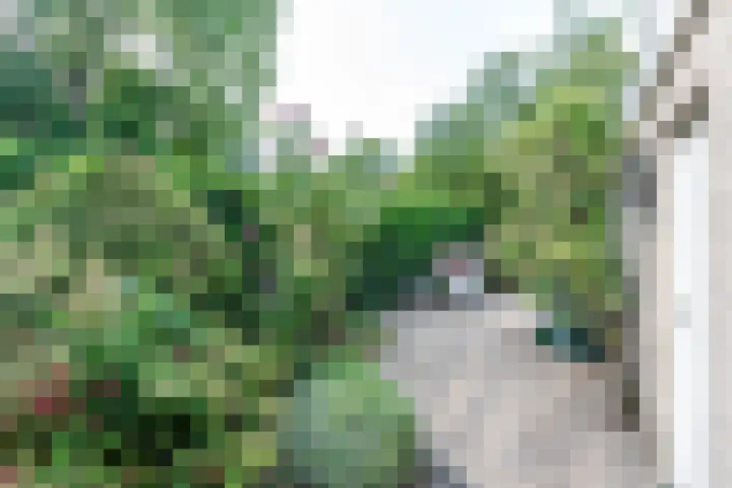 Van Rensselaerstraat 101 Nijkerk thumbnail 43