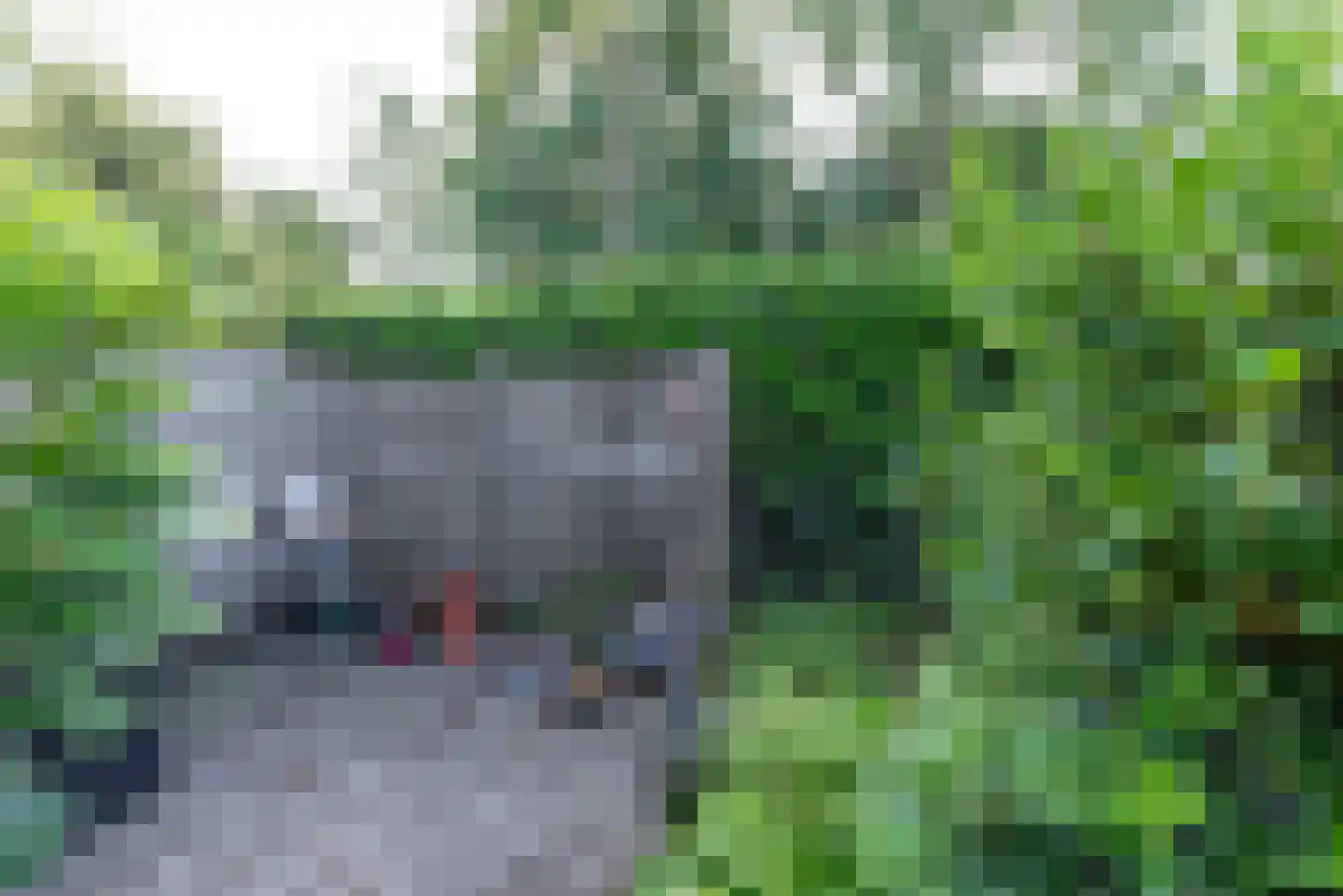 Van Rensselaerstraat 101 Nijkerk thumbnail 45