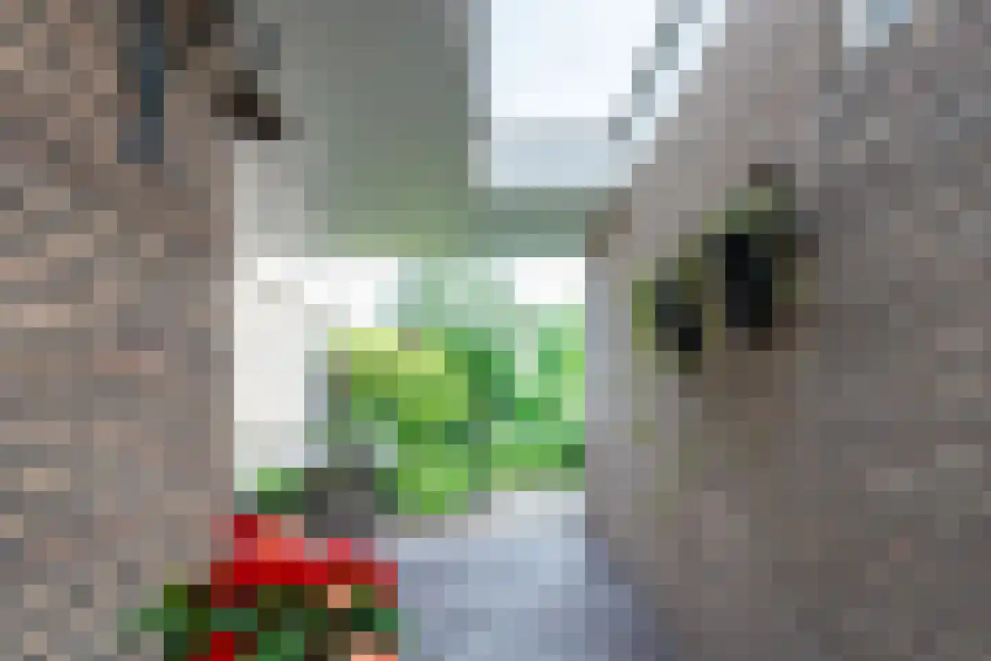 Van Rensselaerstraat 101 Nijkerk thumbnail 52