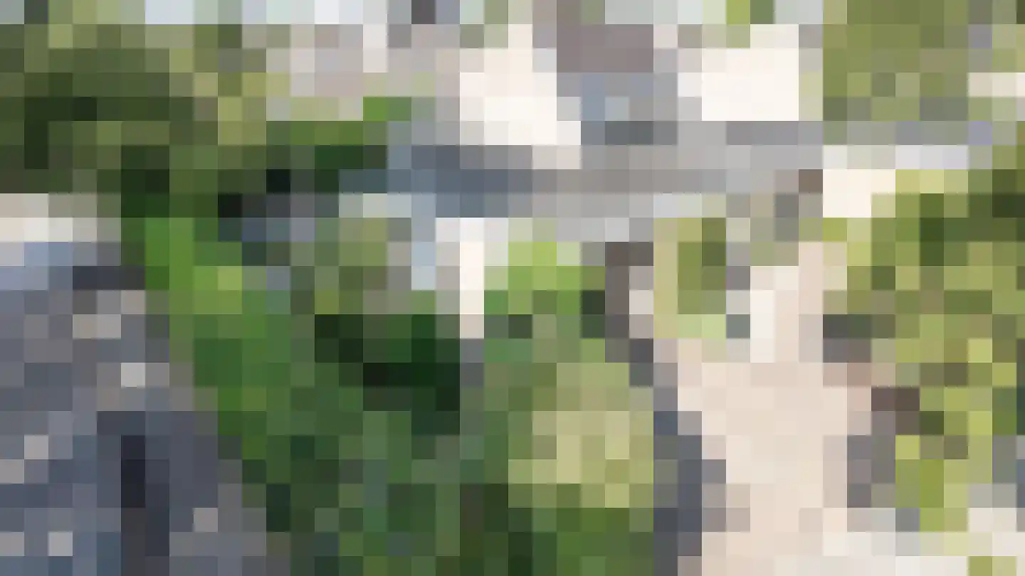 Van Rensselaerstraat 101 Nijkerk thumbnail 54