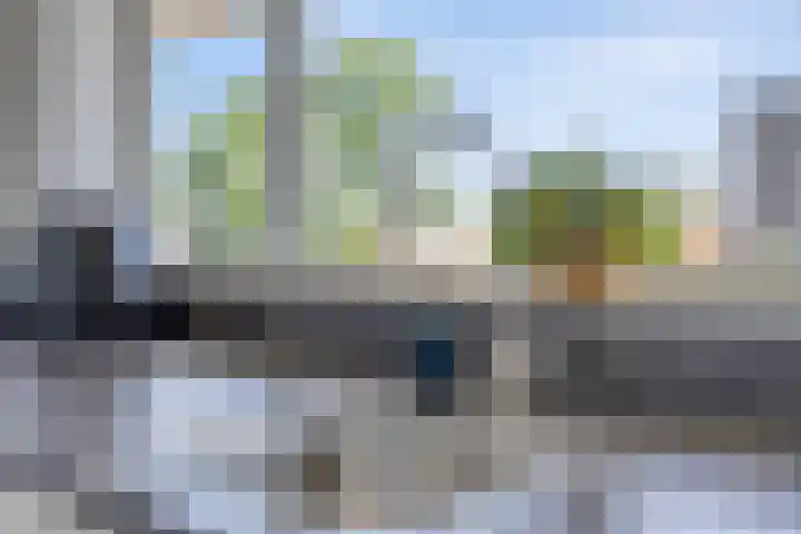 van Reysstraat 79 's-Hertogenbosch thumbnail 16