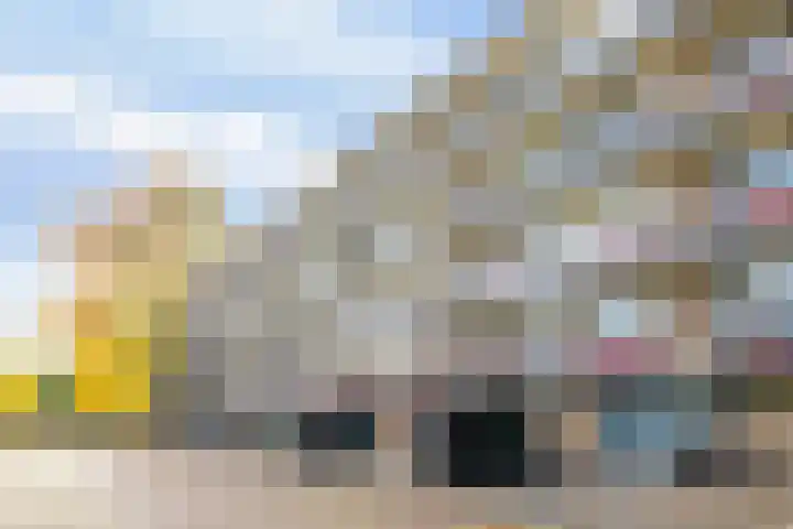 van Reysstraat 95 's-Hertogenbosch thumbnail 33