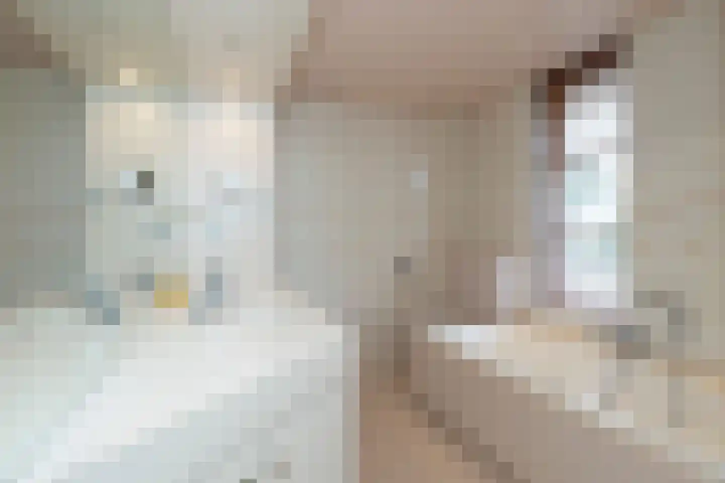Van Rhemenmarke 2 Zwolle thumbnail 23
