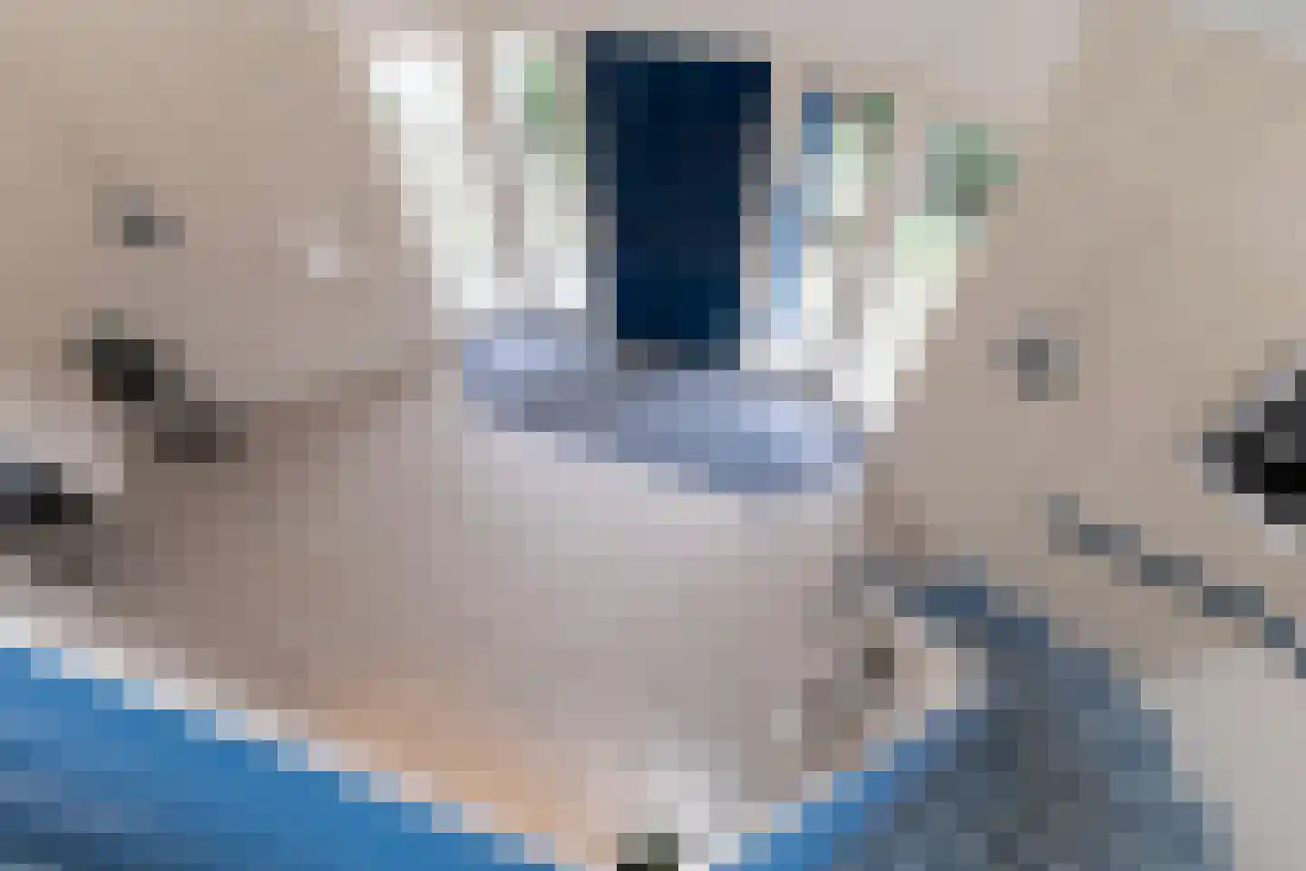 Van Rhemenmarke 2 Zwolle thumbnail 28