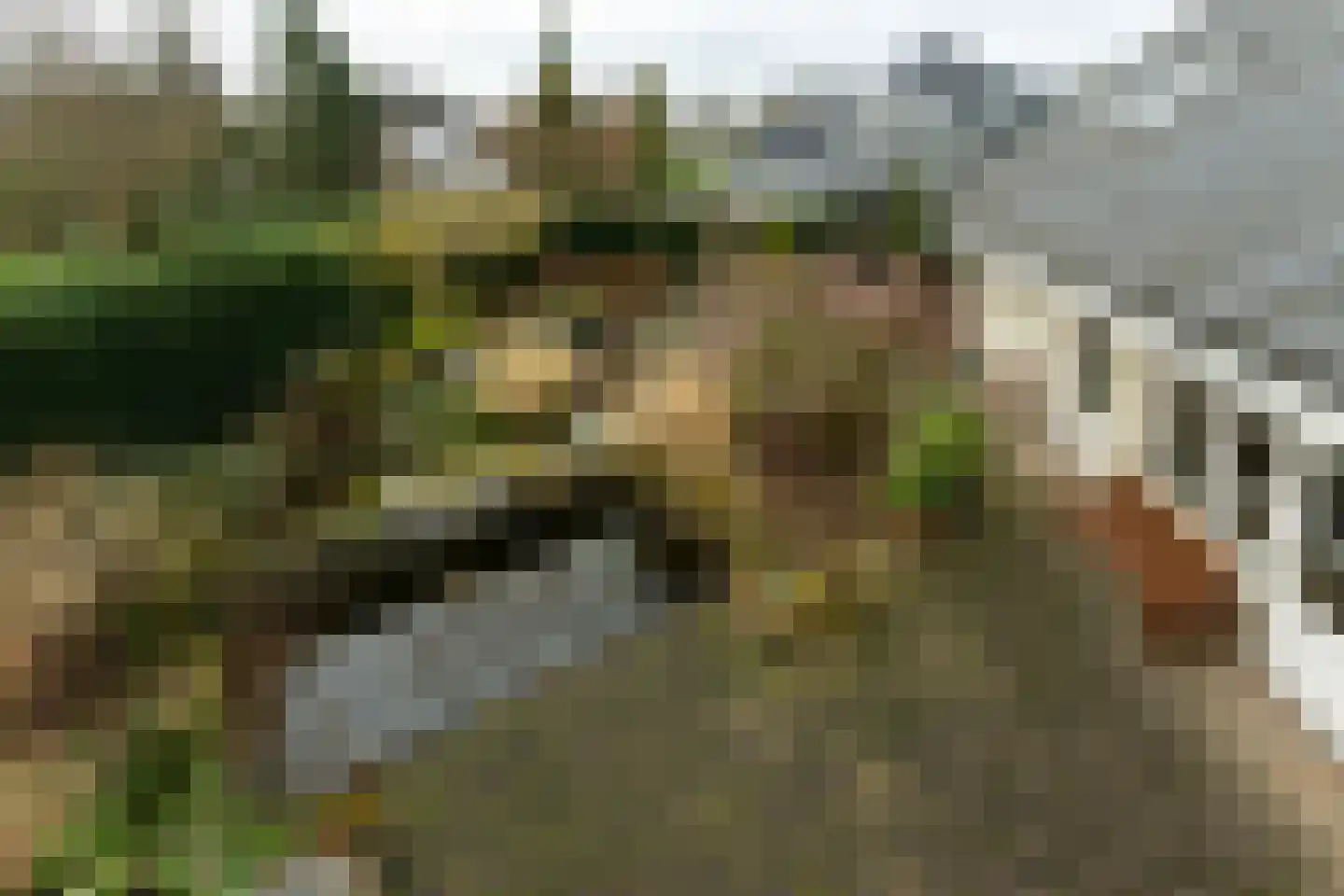 Van Rhemenmarke 2 Zwolle thumbnail 35