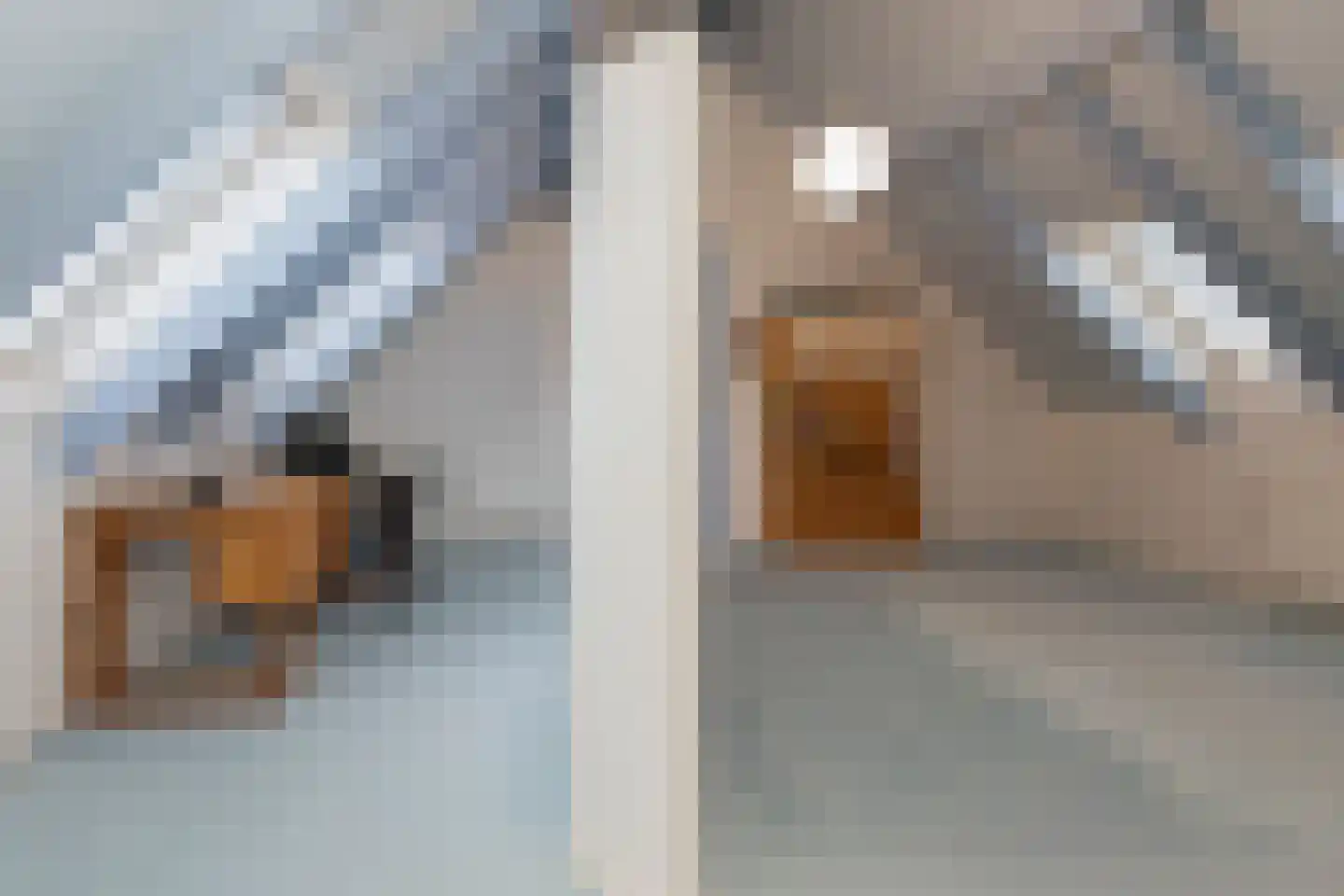 Van Rhemenmarke 2 Zwolle thumbnail 38