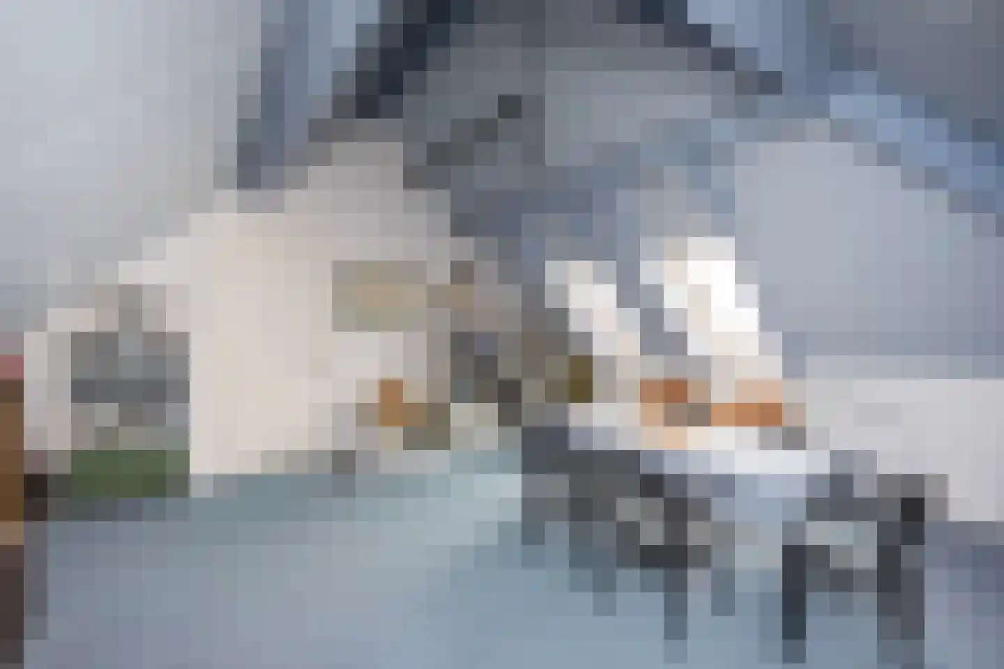 Van Rhemenmarke 2 Zwolle thumbnail 39