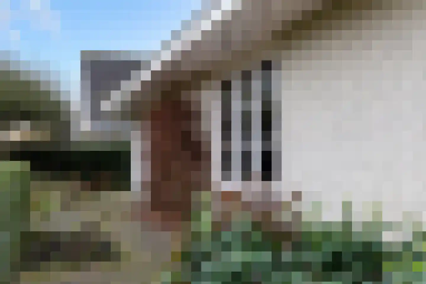 Van Rhemenmarke 2 Zwolle thumbnail 47