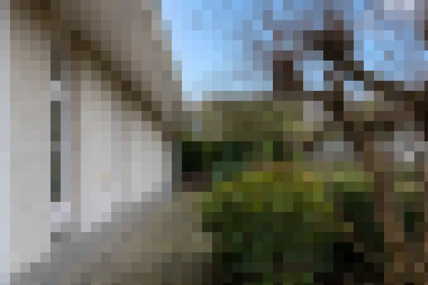 Van Rhemenmarke 2 Zwolle thumbnail 49