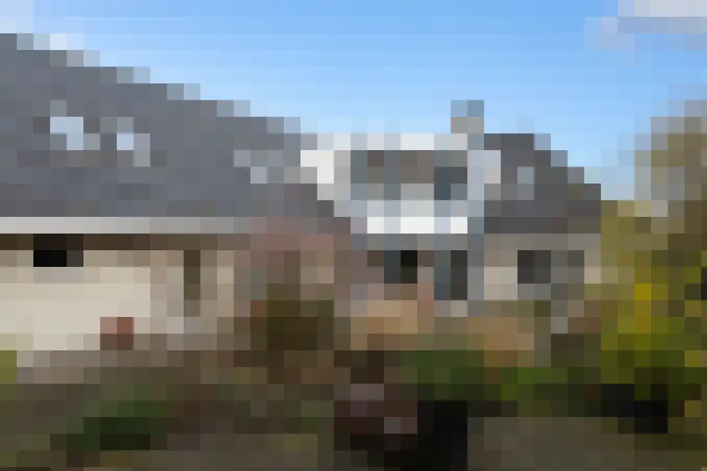 Van Rhemenmarke 2 Zwolle thumbnail 50