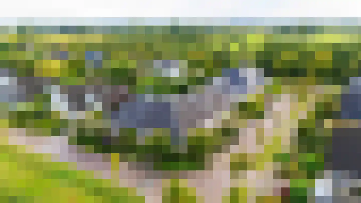 Van Rhemenmarke 2 Zwolle thumbnail 55