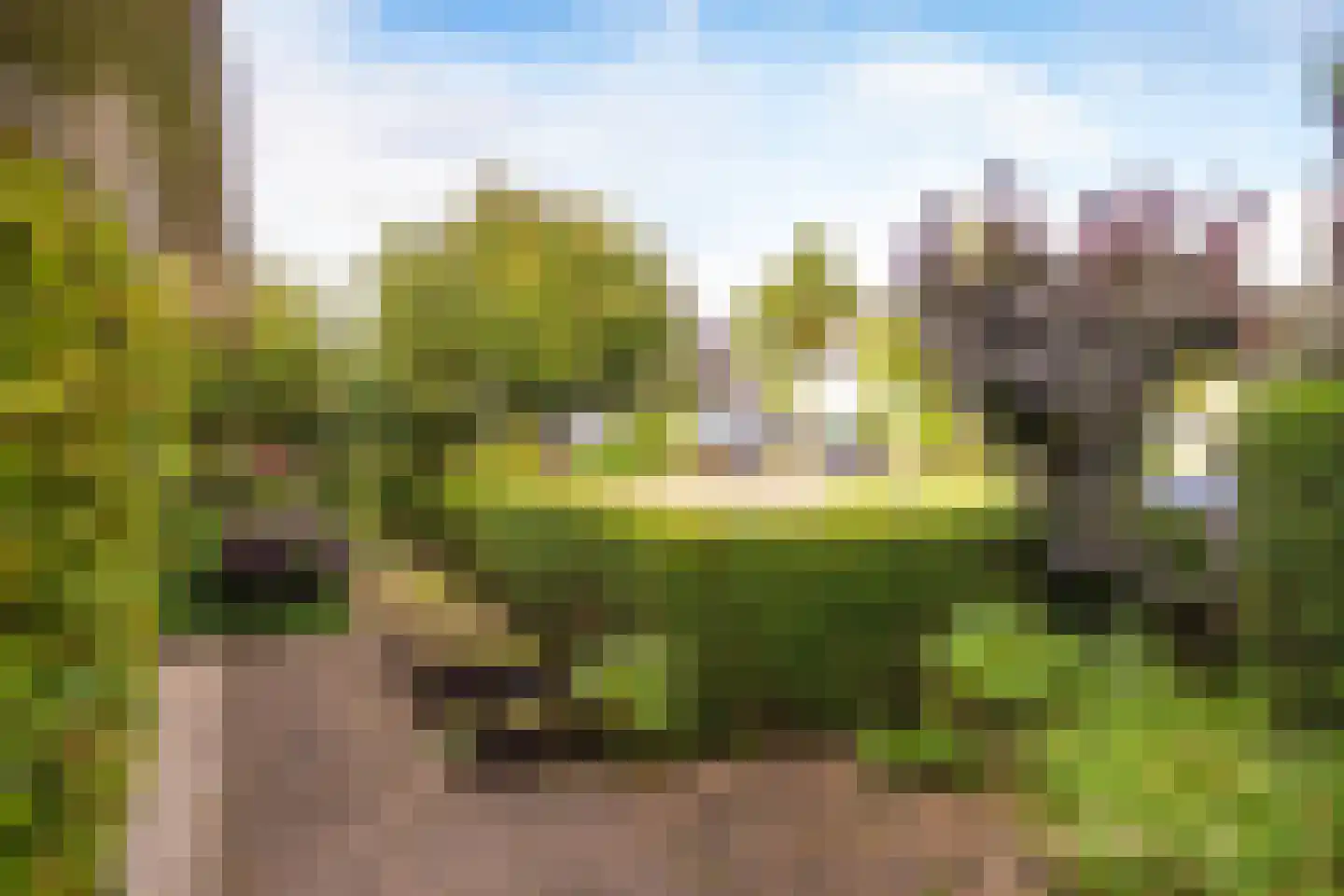 Van Rhemenmarke 2 Zwolle thumbnail 59