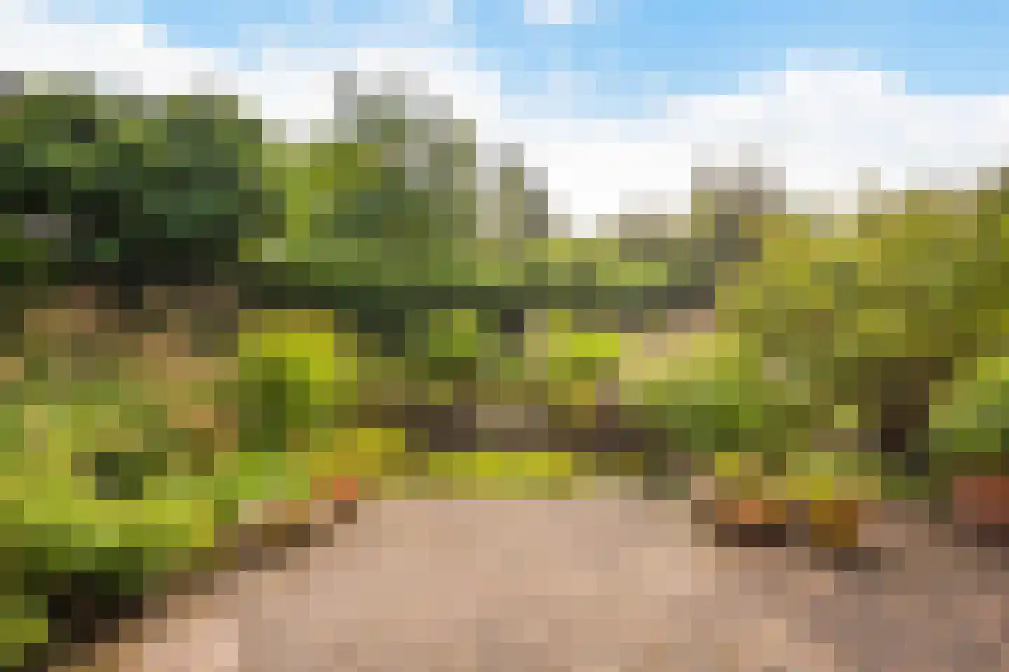 Van Rhemenmarke 2 Zwolle thumbnail 64