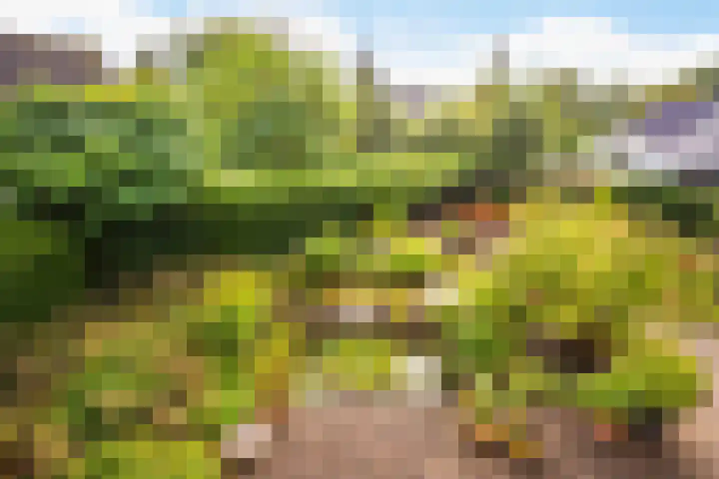 Van Rhemenmarke 2 Zwolle thumbnail 65