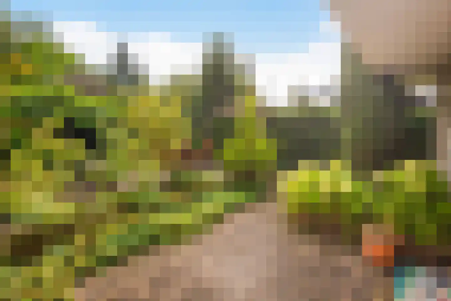 Van Rhemenmarke 2 Zwolle thumbnail 66