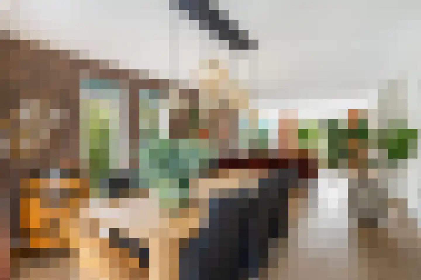 Van Rhemenmarke 8 Zwolle thumbnail 13