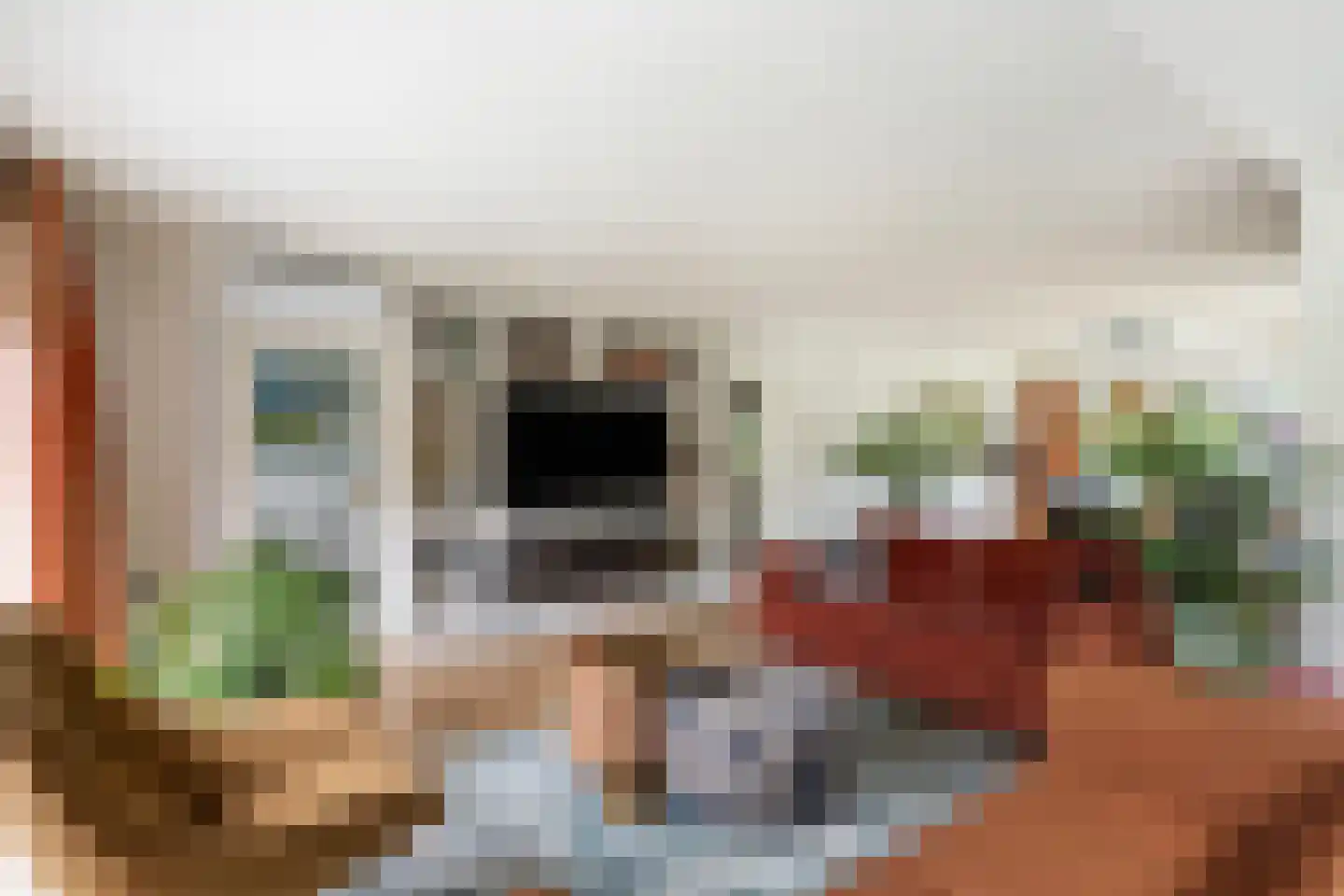 Van Rhemenmarke 8 Zwolle thumbnail 14