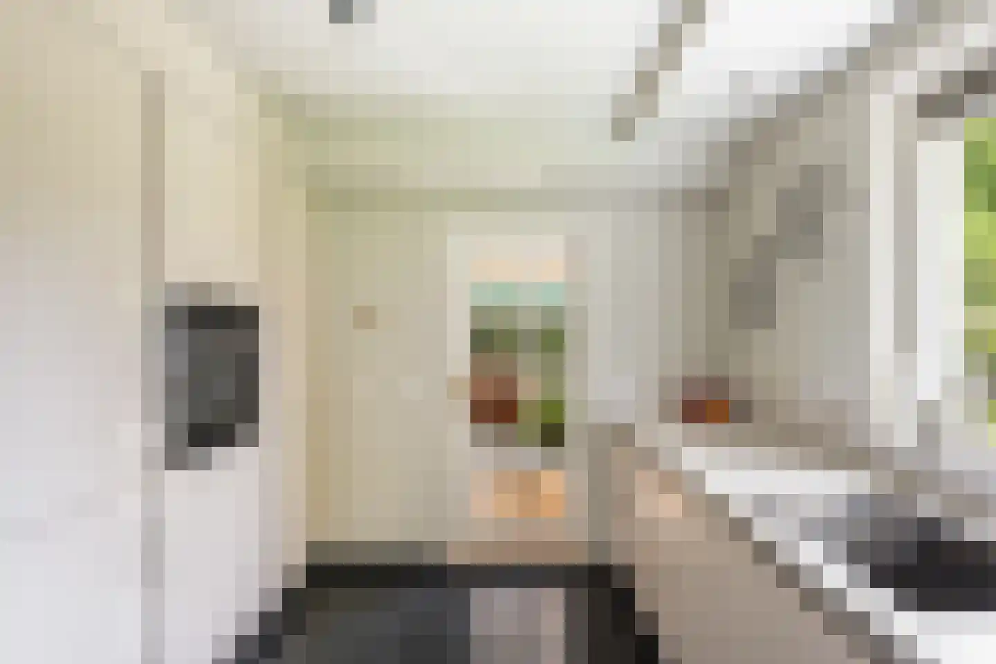 Van Rhemenmarke 8 Zwolle thumbnail 16