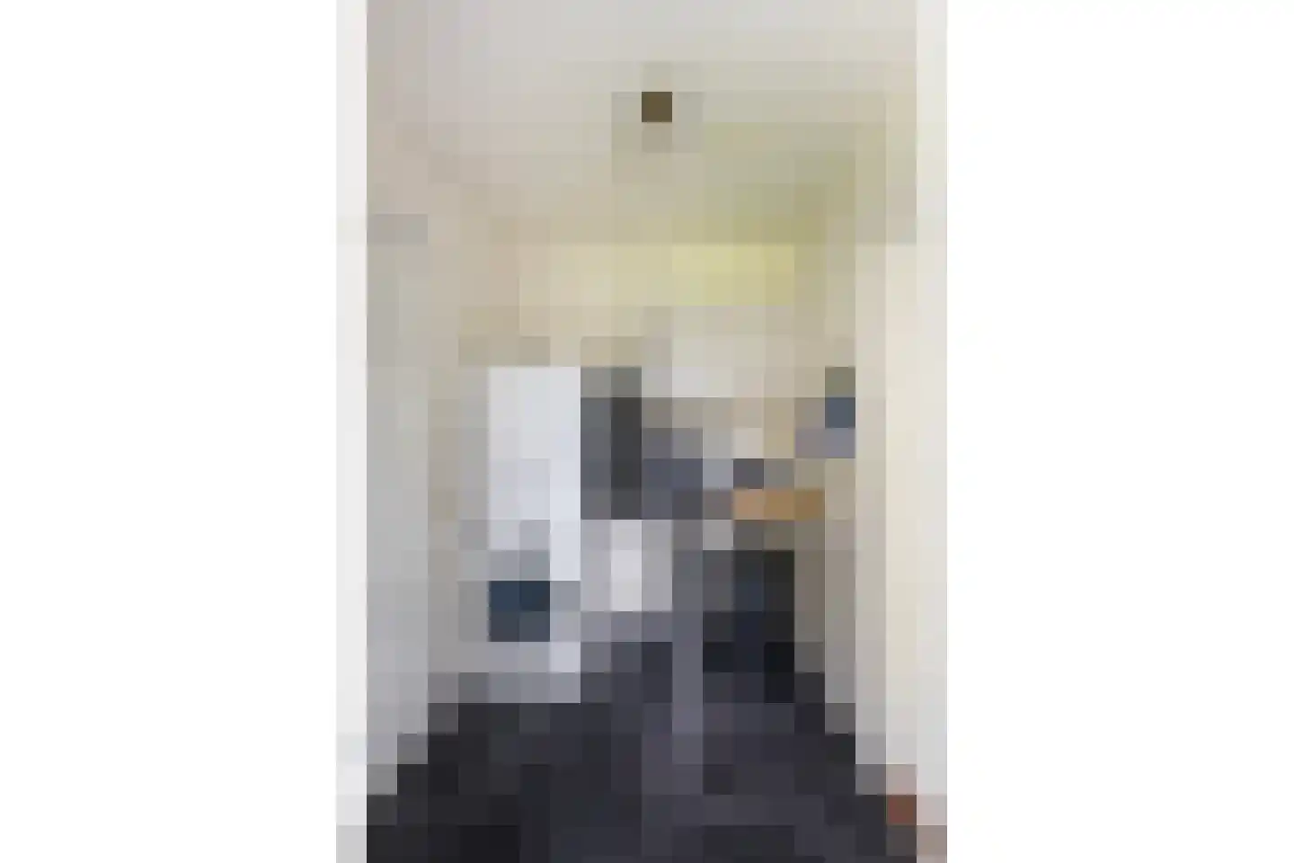 Van Rhemenmarke 8 Zwolle thumbnail 17