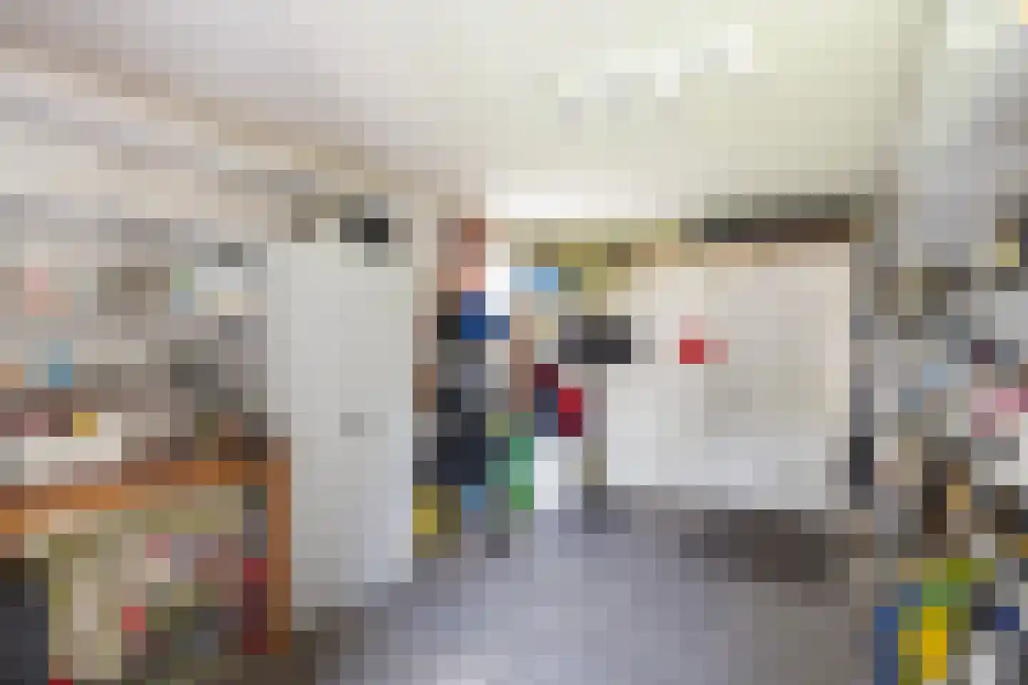 Van Rhemenmarke 8 Zwolle thumbnail 18