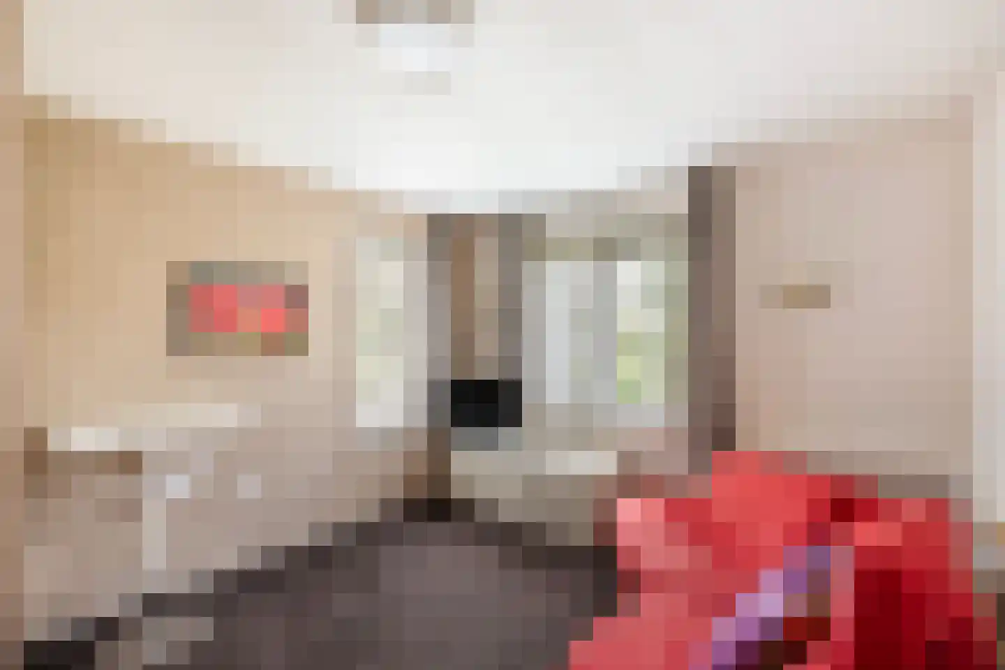 Van Rhemenmarke 8 Zwolle thumbnail 19