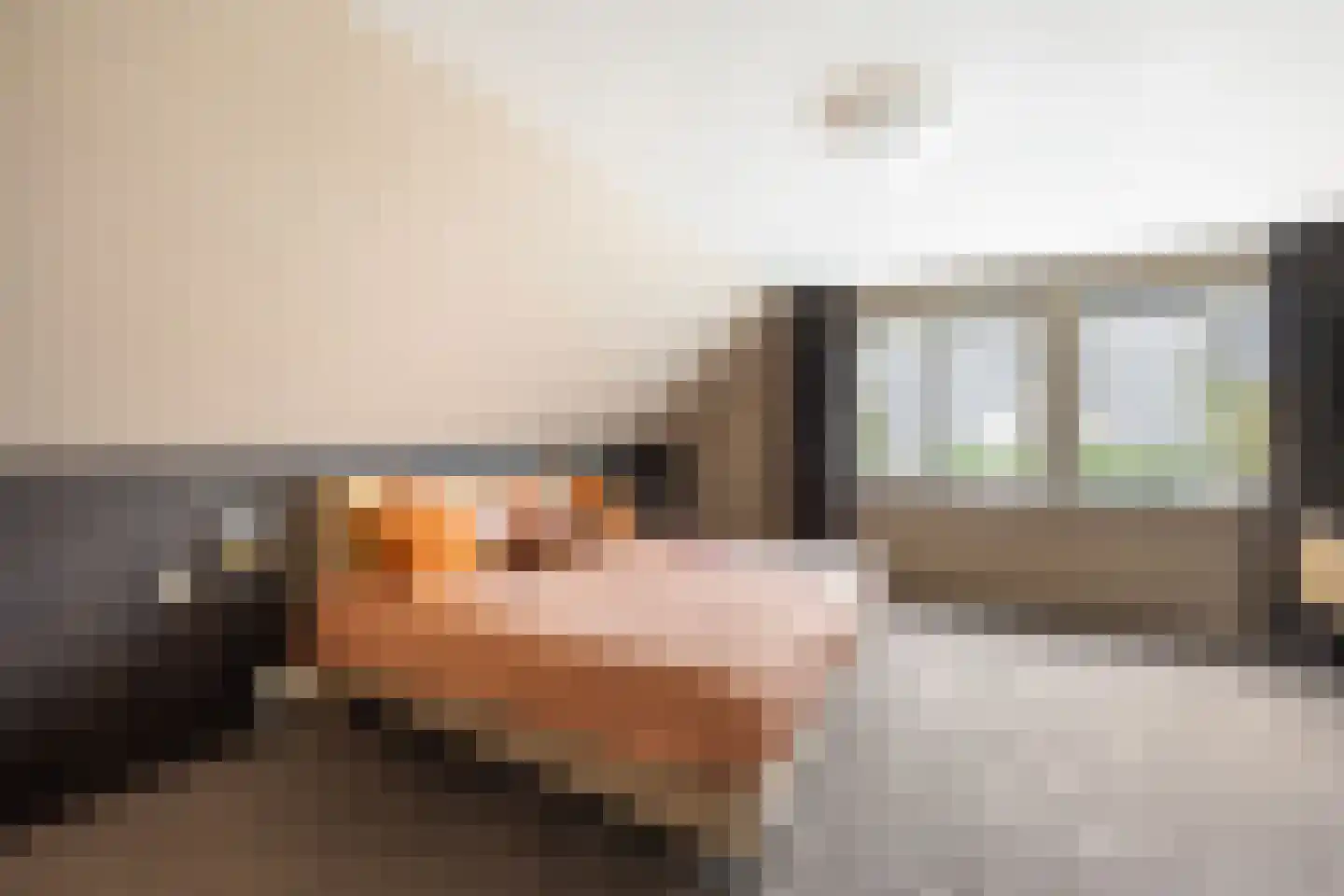 Van Rhemenmarke 8 Zwolle thumbnail 22