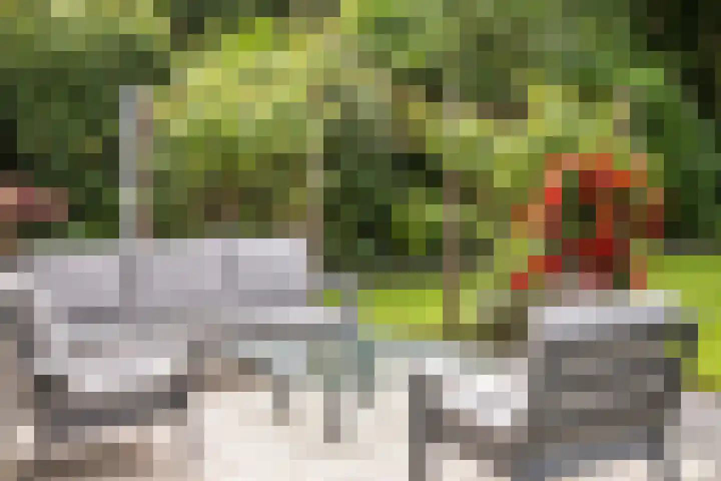 Van Rhemenmarke 8 Zwolle thumbnail 32