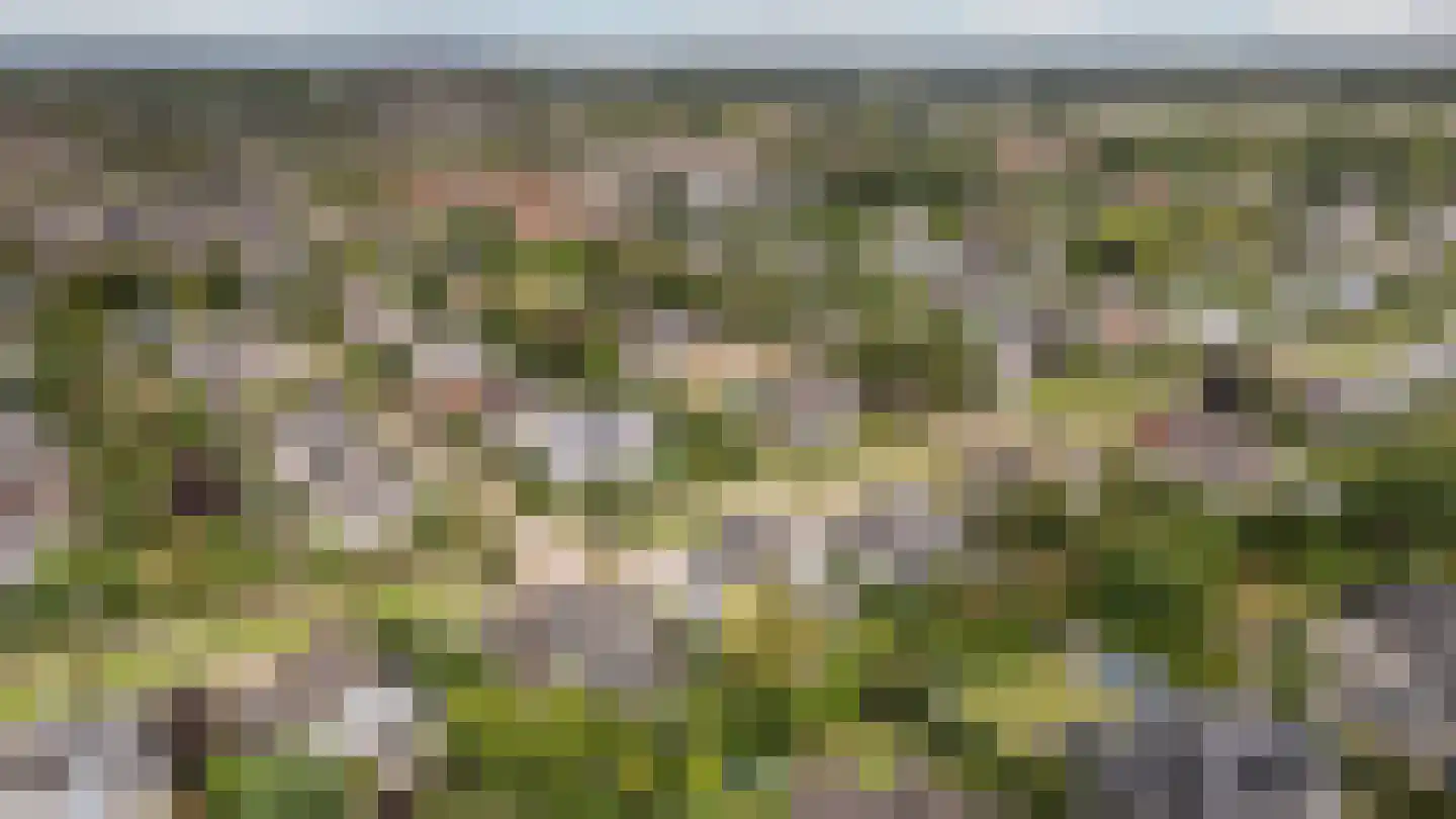Van Rhemenmarke 8 Zwolle thumbnail 34
