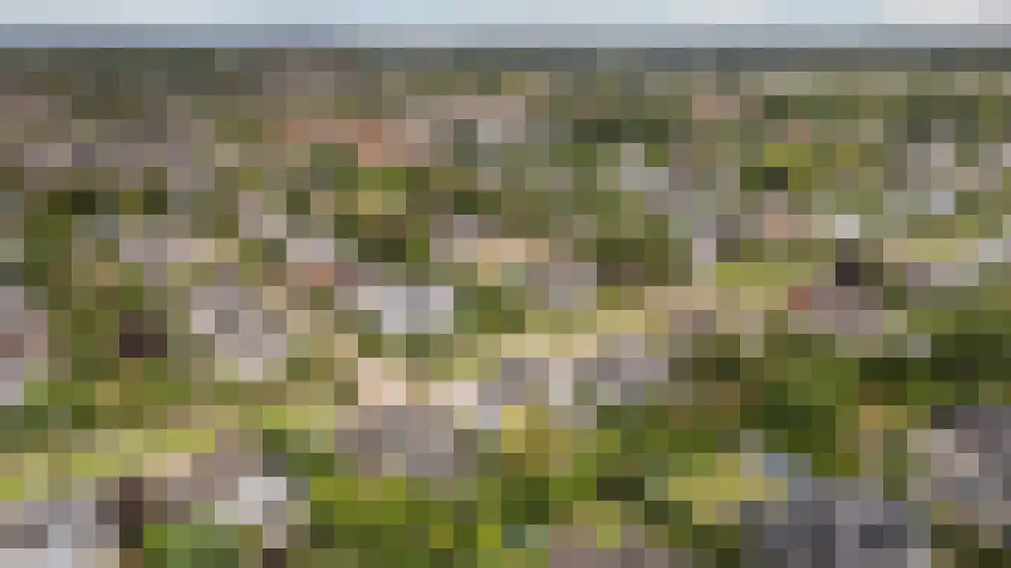 Van Rhemenmarke 8 Zwolle thumbnail 34