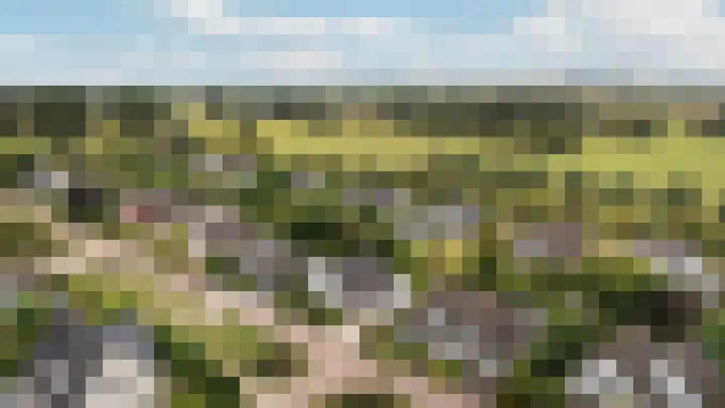 Van Rhemenmarke 8 Zwolle thumbnail 35