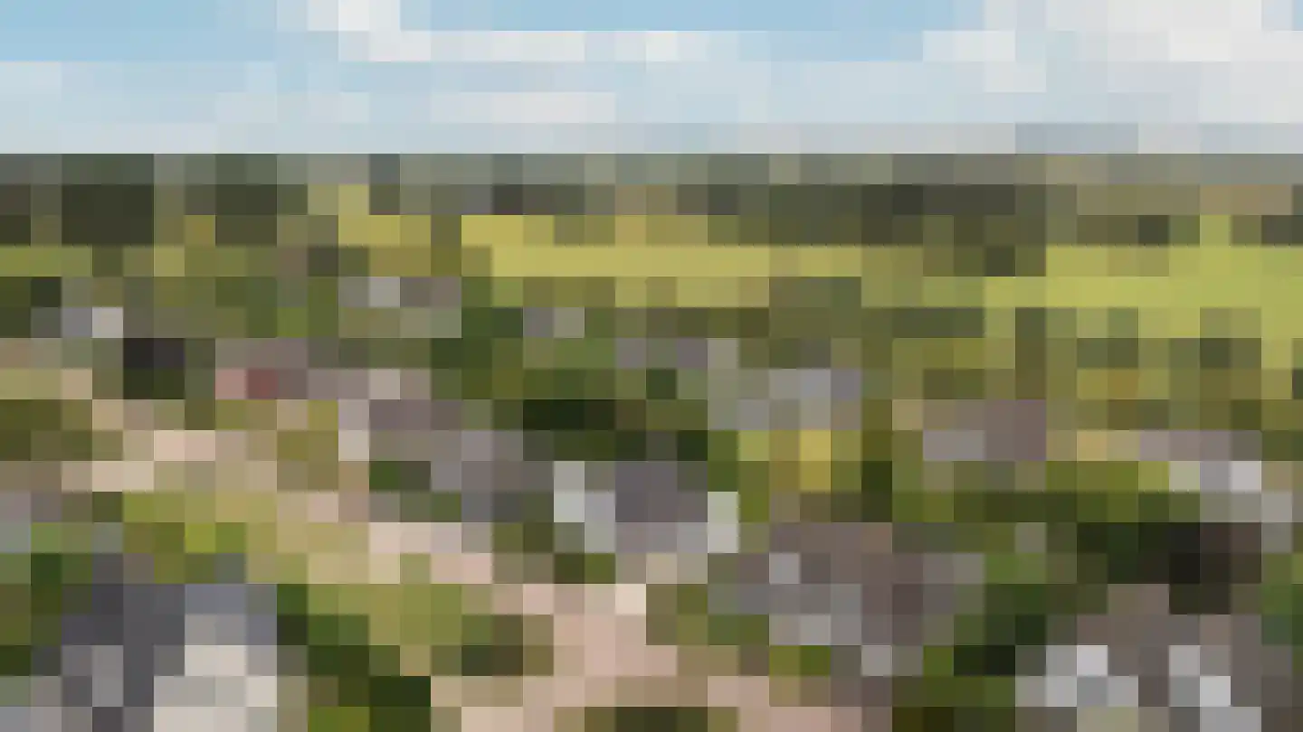 Van Rhemenmarke 8 Zwolle thumbnail 35