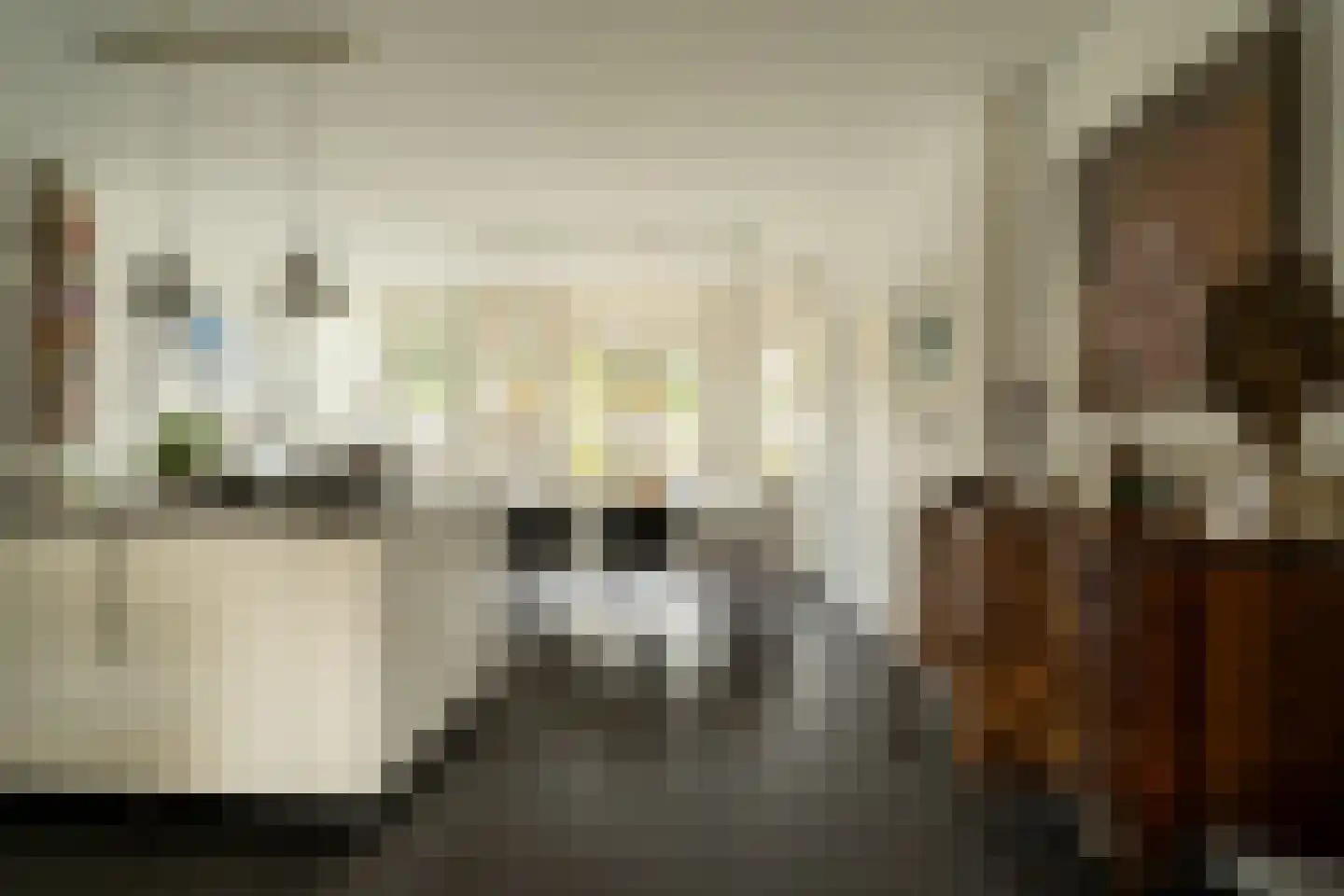 Van Riebeecklaan 11 Haarlem thumbnail 11