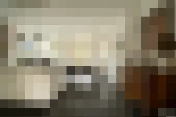Van Riebeecklaan 11 Haarlem thumbnail 11