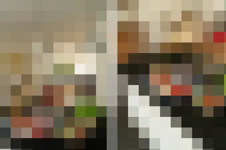 Van Riebeecklaan 11 Haarlem thumbnail 13