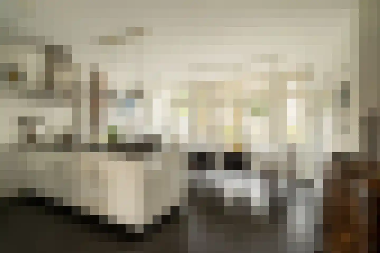 Van Riebeecklaan 11 Haarlem thumbnail 14