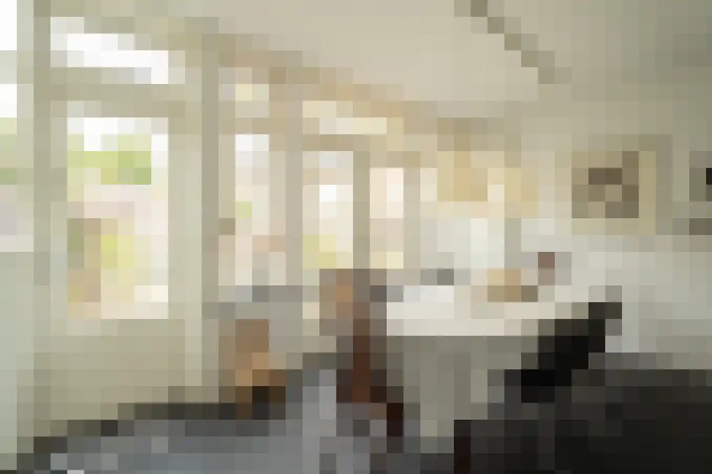 Van Riebeecklaan 11 Haarlem thumbnail 16