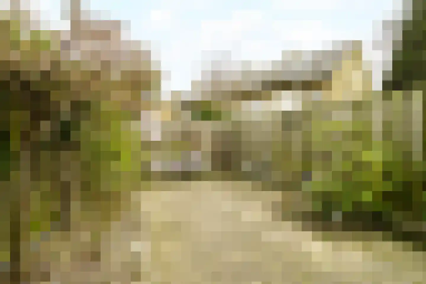 Van Riebeecklaan 11 Haarlem thumbnail 17
