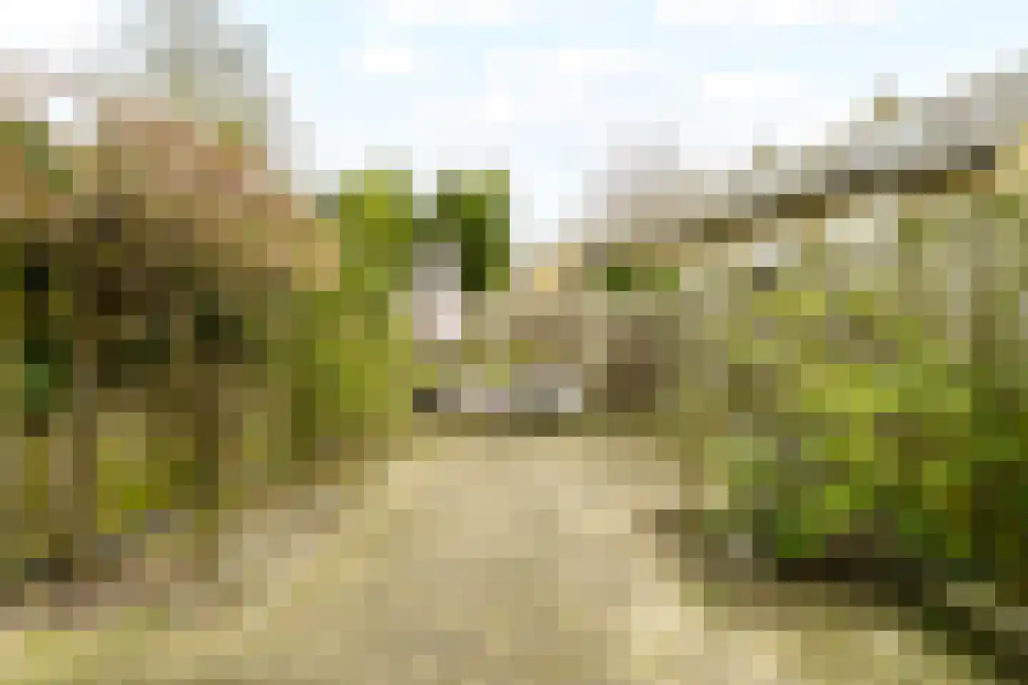 Van Riebeecklaan 11 Haarlem thumbnail 18