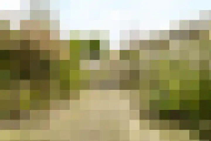 Van Riebeecklaan 11 Haarlem thumbnail 18