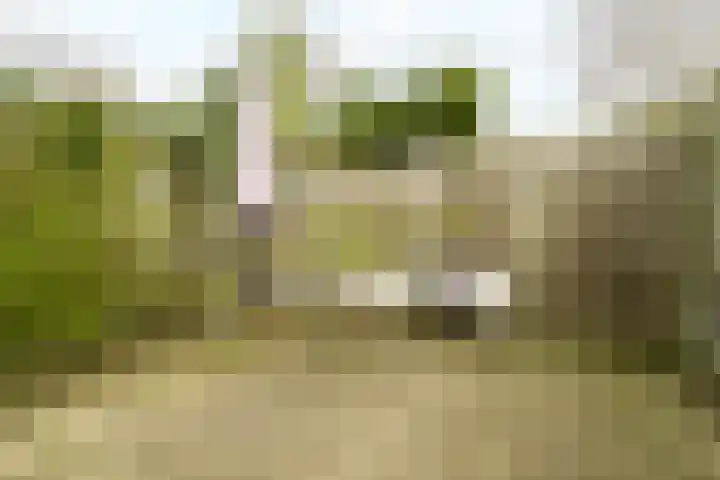 Van Riebeecklaan 11 Haarlem thumbnail 20