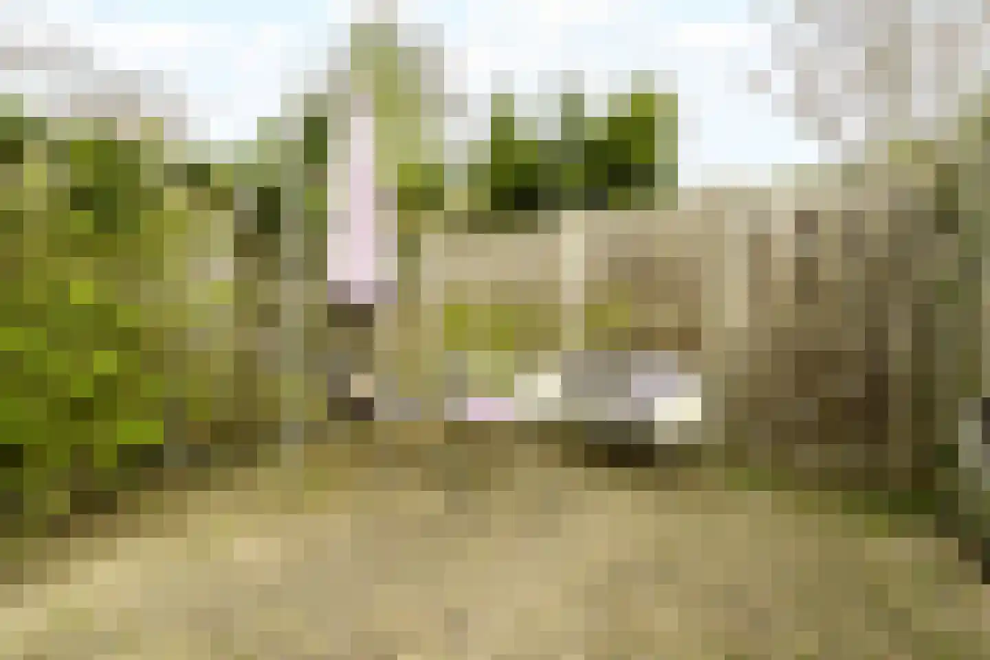 Van Riebeecklaan 11 Haarlem thumbnail 20