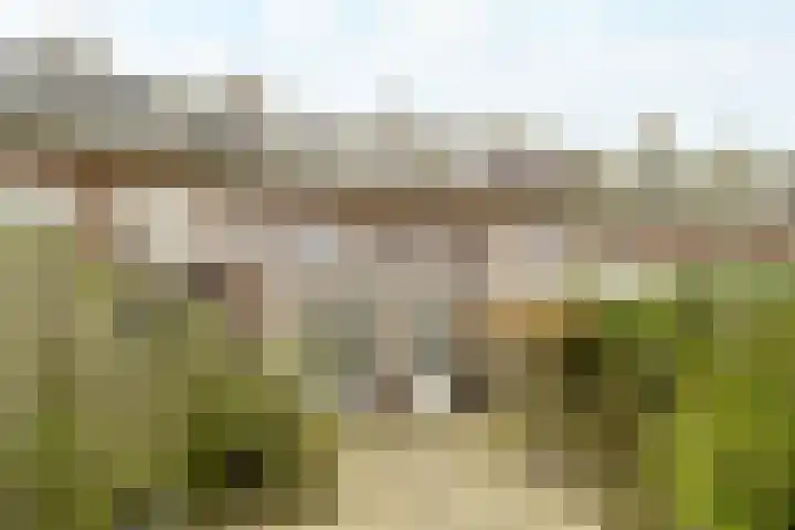 Van Riebeecklaan 11 Haarlem thumbnail 21