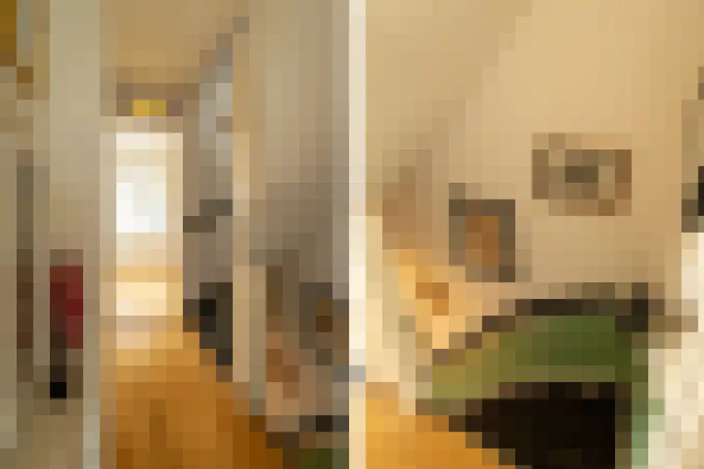 Van Riebeecklaan 11 Haarlem thumbnail 22