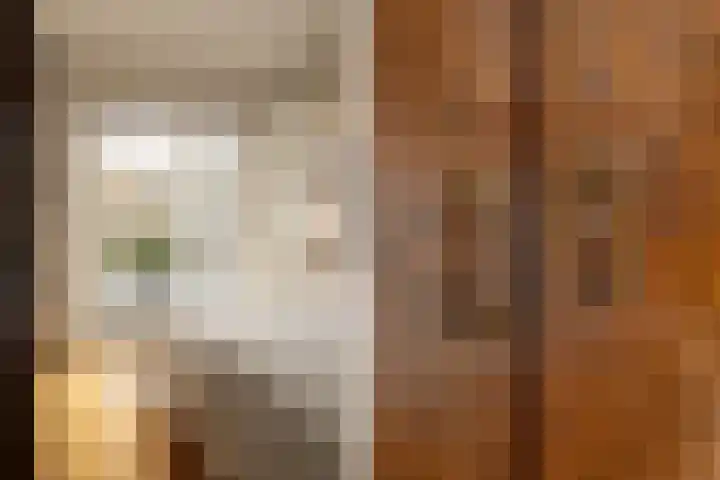 Van Riebeecklaan 11 Haarlem thumbnail 25