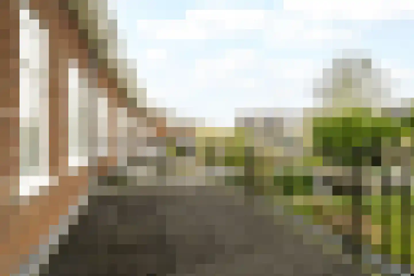 Van Riebeecklaan 11 Haarlem thumbnail 26