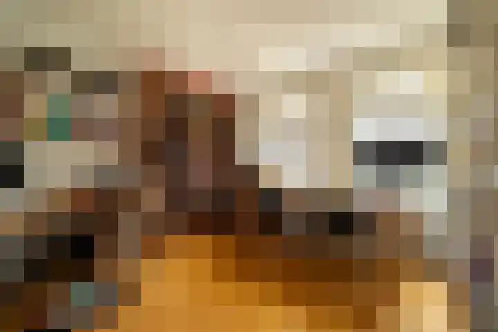 Van Riebeecklaan 11 Haarlem thumbnail 28