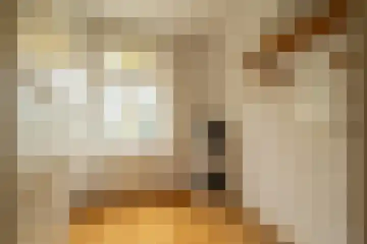 Van Riebeecklaan 11 Haarlem thumbnail 31