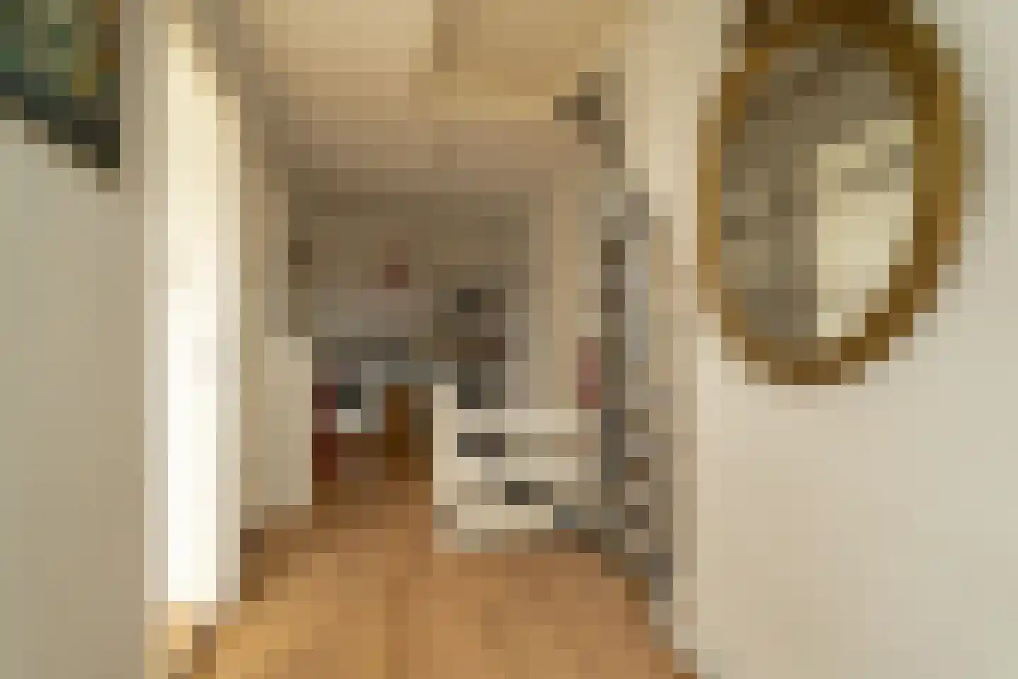 Van Riebeecklaan 11 Haarlem thumbnail 38